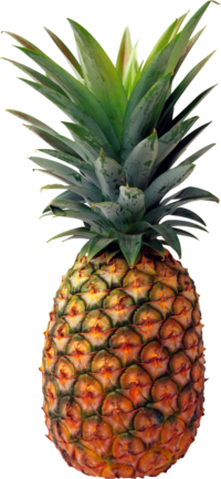 35 weeks pineapple 35 weeks pineapple
