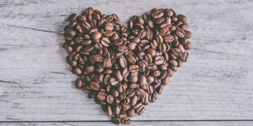 5 - coffee seed 5 - coffee seed