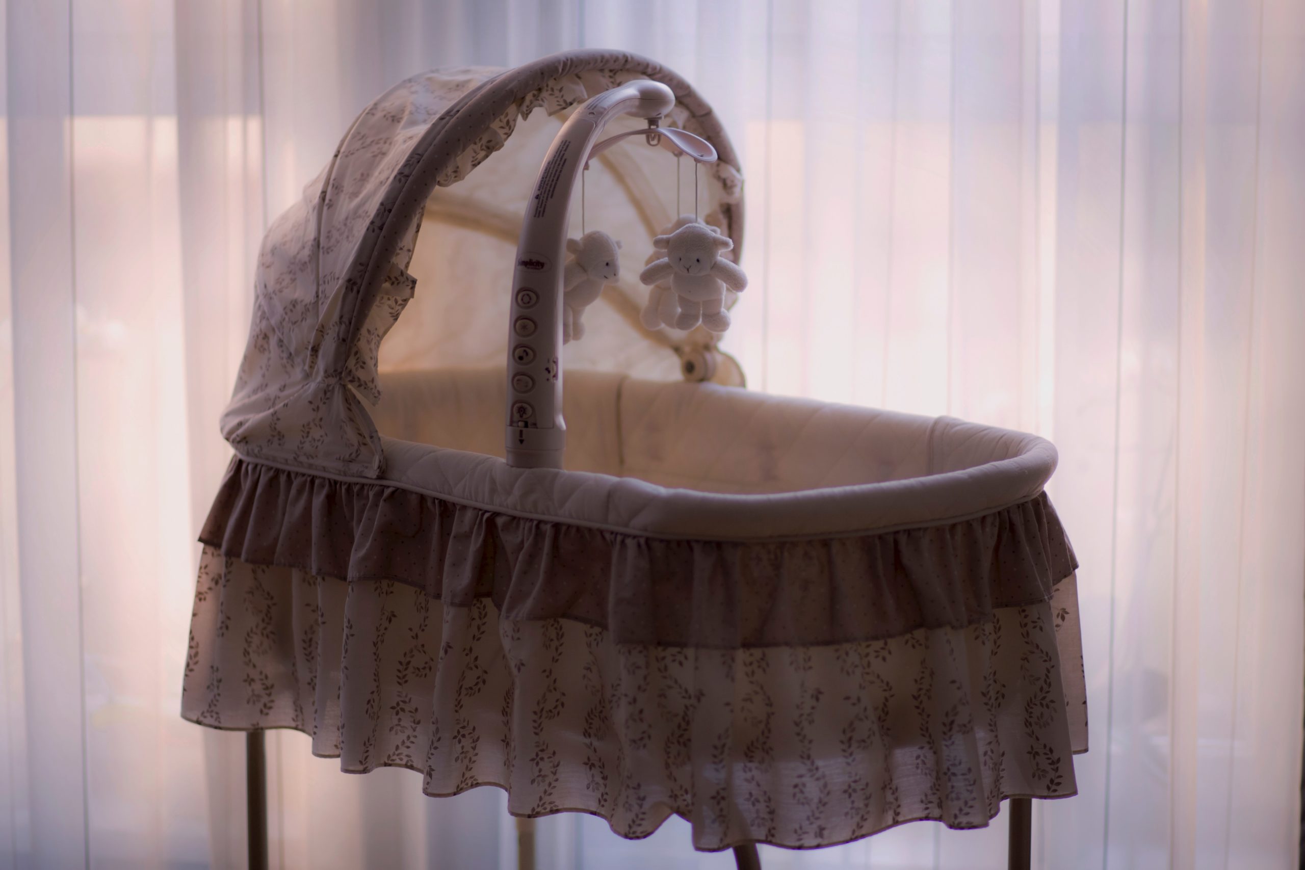 affordable bassinet